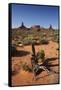 Navajo Nation, Monument Valley, Landscape of Mitten Rock Formations-David Wall-Framed Stretched Canvas