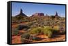 Navajo Nation, Monument Valley, Landscape of Mitten Rock Formations-David Wall-Framed Stretched Canvas