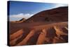 Navajo Nation, Monument Valley, Rock Formations, Mystery Valley-David Wall-Stretched Canvas