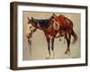 Navajo Pony-William R^ Leigh-Framed Art Print