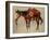 Navajo Pony-William R^ Leigh-Framed Art Print