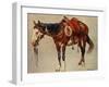 Navajo Pony-William R^ Leigh-Framed Art Print