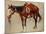 Navajo Pony-William R^ Leigh-Mounted Art Print