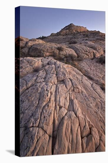 Navajo Sandstone at Dusk-James Hager-Stretched Canvas