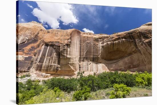 Navajo sandstone in Lower Calf Creek Falls Trail, Grand Staircase-Escalante National Monument, Utah-Michael Nolan-Stretched Canvas