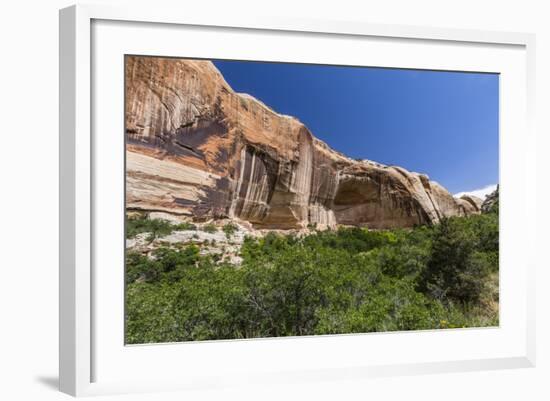 Navajo sandstone in Lower Calf Creek Falls Trail, Grand Staircase-Escalante National Monument, Utah-Michael Nolan-Framed Photographic Print