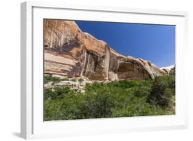 Navajo sandstone in Lower Calf Creek Falls Trail, Grand Staircase-Escalante National Monument, Utah-Michael Nolan-Framed Photographic Print