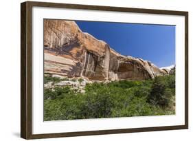 Navajo sandstone in Lower Calf Creek Falls Trail, Grand Staircase-Escalante National Monument, Utah-Michael Nolan-Framed Photographic Print