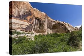 Navajo sandstone in Lower Calf Creek Falls Trail, Grand Staircase-Escalante National Monument, Utah-Michael Nolan-Stretched Canvas