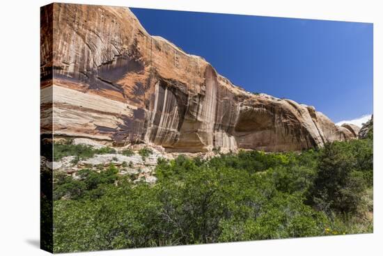 Navajo sandstone in Lower Calf Creek Falls Trail, Grand Staircase-Escalante National Monument, Utah-Michael Nolan-Stretched Canvas