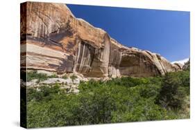Navajo sandstone in Lower Calf Creek Falls Trail, Grand Staircase-Escalante National Monument, Utah-Michael Nolan-Stretched Canvas