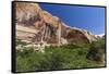 Navajo sandstone in Lower Calf Creek Falls Trail, Grand Staircase-Escalante National Monument, Utah-Michael Nolan-Framed Stretched Canvas