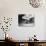 Navajo Weaver, C1905-Edward S^ Curtis-Photographic Print displayed on a wall