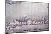 Naval Battle in Maracaibo, July 24, 1823-null-Mounted Giclee Print