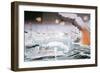 Naval Battle of Tsushima in 1905-null-Framed Giclee Print