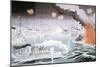 Naval Battle of Tsushima in 1905-null-Mounted Giclee Print