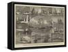 Naval Events of the Year-William Edward Atkins-Framed Stretched Canvas