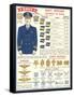 Naval Insignia Chart-null-Framed Stretched Canvas