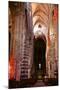 Nave and Columns, Haute Loire-Guy Thouvenin-Mounted Photographic Print