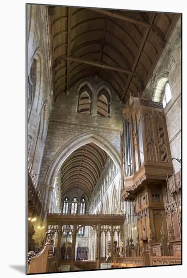 Nave and Organ from the Choir, Dunblane Cathedral, Dunblane, Stirling, Scotland, United Kingdom-Nick Servian-Mounted Photographic Print