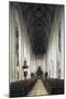 Nave, Cathedral of Ingolstadt, Bavaria, Germany-null-Mounted Giclee Print