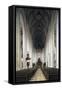 Nave, Cathedral of Ingolstadt, Bavaria, Germany-null-Framed Stretched Canvas