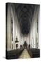 Nave, Cathedral of Ingolstadt, Bavaria, Germany-null-Stretched Canvas