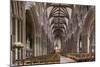 Nave Looking East, Lichfield Cathedral, Staffordshire, England, United Kingdom-Nick Servian-Mounted Photographic Print