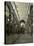 Nave of Basilica of San Lorenzo, Florence, Tuscany, Italy, Europe-Peter Barritt-Stretched Canvas
