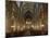 Nave of Notre-Dame Gothic Cathedral Built in Red Sandstone, Strasbourg, Alsace, France, Europe-Patrick Dieudonne-Mounted Photographic Print