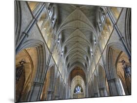 Nave of Southwark Cathedral in London-Bo Zaunders-Mounted Photographic Print