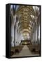 Nave of Tewkesbury Abbey (Abbey Church of St. Mary the Virgin)-Stuart Black-Framed Stretched Canvas