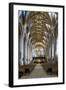 Nave of Tewkesbury Abbey (Abbey Church of St. Mary the Virgin)-Stuart Black-Framed Photographic Print