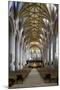 Nave of Tewkesbury Abbey (Abbey Church of St. Mary the Virgin)-Stuart Black-Mounted Photographic Print