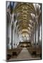 Nave of Tewkesbury Abbey (Abbey Church of St. Mary the Virgin)-Stuart Black-Mounted Photographic Print