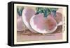 Navet De Milan Blanc Plat A Collet Rose-null-Framed Stretched Canvas