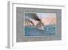 Navy Battle of Manila-Werner-Framed Art Print