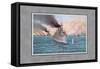 Navy Battle of Manila-Werner-Framed Stretched Canvas