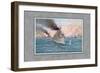 Navy Battle of Manila-Werner-Framed Premium Giclee Print
