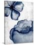 Navy Blooms 1-Kimberly Allen-Stretched Canvas