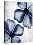 Navy Blooms 2-Kimberly Allen-Stretched Canvas