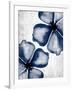 Navy Blooms 2-Kimberly Allen-Framed Art Print