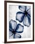 Navy Blooms 2-Kimberly Allen-Framed Art Print