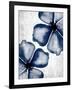 Navy Blooms 2-Kimberly Allen-Framed Art Print