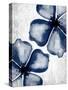 Navy Blooms 2-Kimberly Allen-Stretched Canvas
