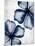 Navy Blooms 2-Kimberly Allen-Mounted Art Print