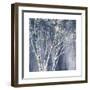 Navy Blue Birch Flipped-Julia Purinton-Framed Art Print