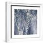 Navy Blue Birch Flipped-Julia Purinton-Framed Art Print