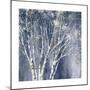 Navy Blue Birch Flipped-Julia Purinton-Mounted Art Print