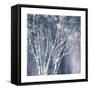 Navy Blue Birch Flipped-Julia Purinton-Framed Stretched Canvas